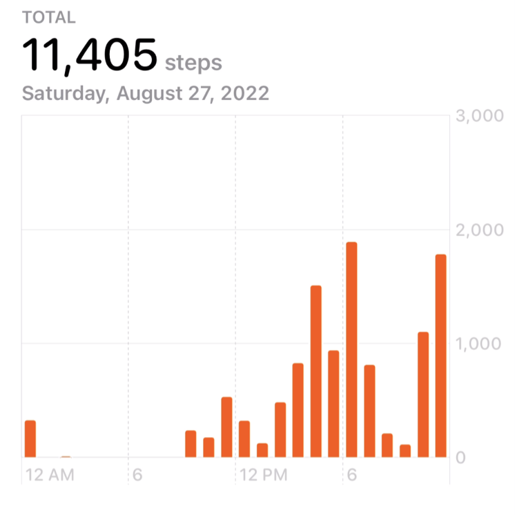 A partial screenshot of the Health app