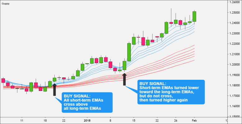 Guppy Biuy Signals