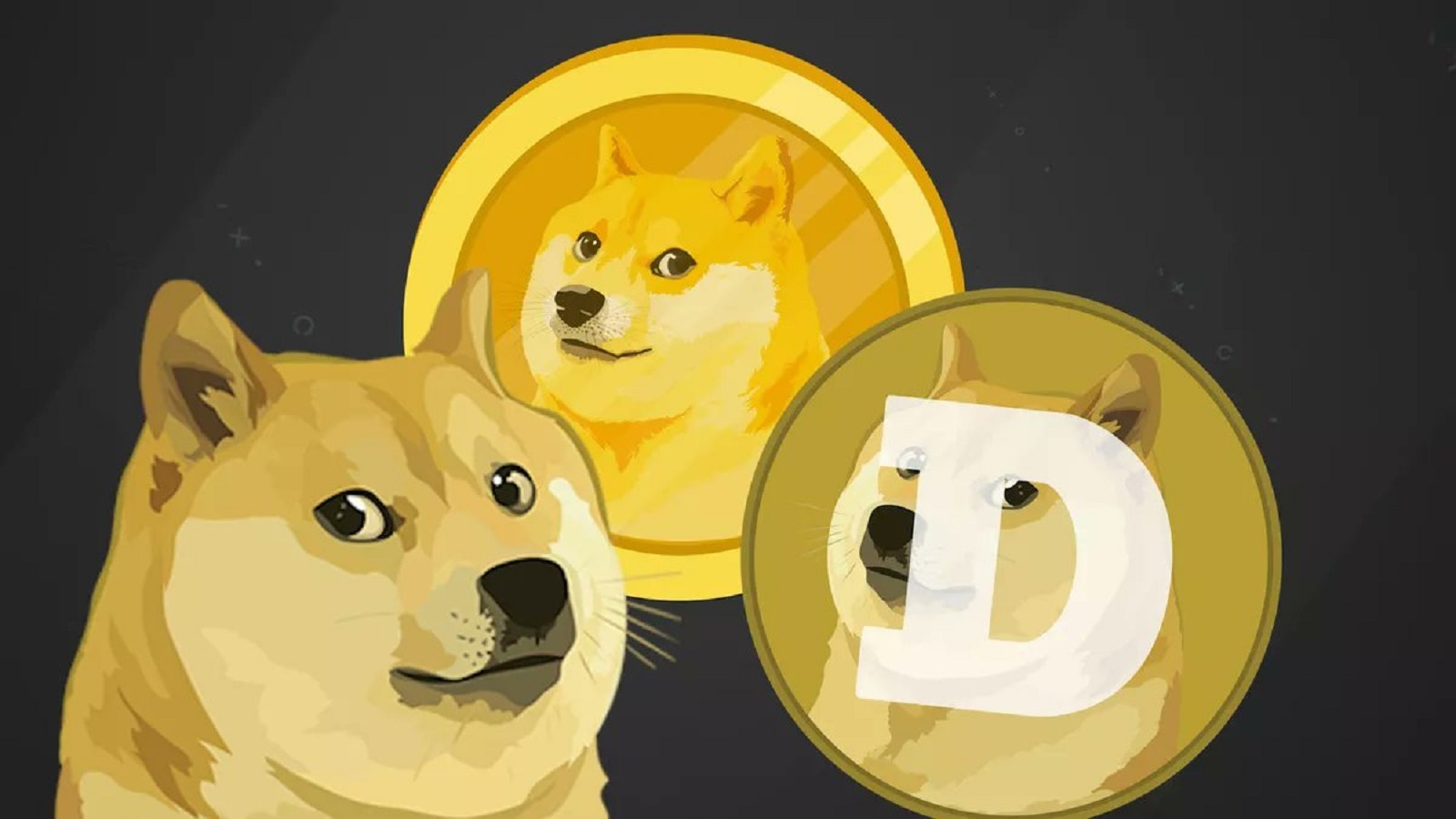 Should you buy Dogecoin? One big reason why you should not