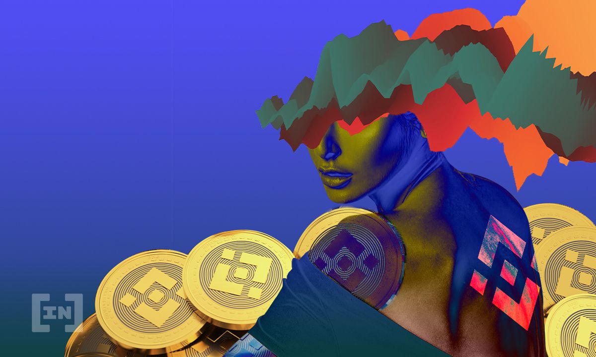 Binance Coin (BNB) Barely Hangs on Above Long-Term Support